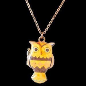 Vintage Owl Locket Necklace Enamel Hinged Pendant Retro Magnetic Fashion Jewelry